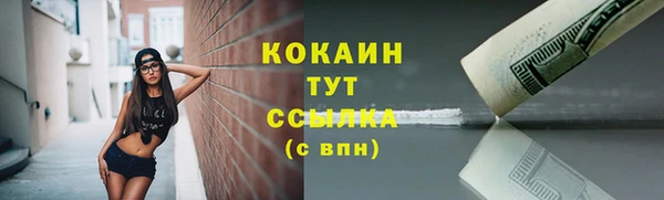 PSILOCYBIN Дегтярск