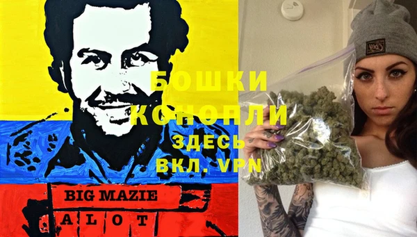 соль ск Волосово
