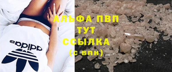 PSILOCYBIN Дегтярск