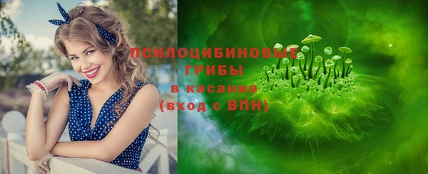 PSILOCYBIN Дегтярск