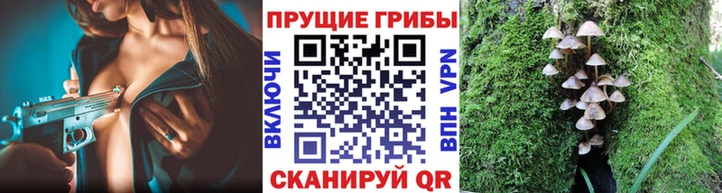 Псилоцибиновые грибы ЛСД  Вяземский 